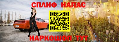 индика Заводоуковск