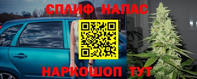 индика Заводоуковск
