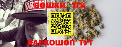 индика Заводоуковск