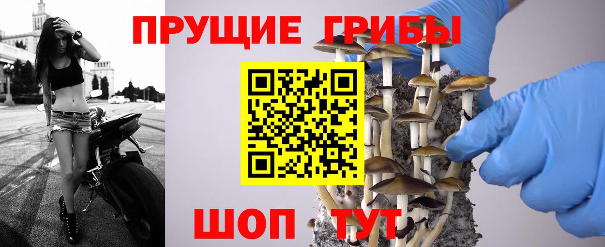 Лесозаводск  Галлюциногенные грибы ЛСД  Псилоцибиновые грибы мицелий  Вход с VPN 